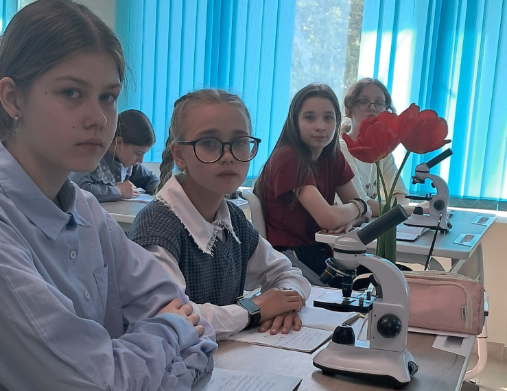 Весеннее приключение с тюльпанами!.